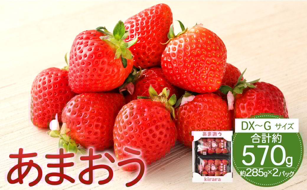 あまおう 約570g 約285g×2パック いちごファームきらら 冷蔵【ふくおかエコ農産物認証】【2026年2月上旬-3月下旬発送予定】福岡県香春町11000果物・フルーツいちご