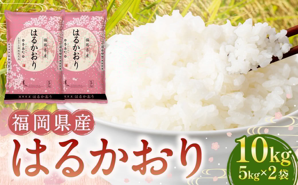 【令和6年産】福岡県産米 はるかおり 精米 10kg / ふるさと納税限定 ふるさと納税限定品 お米 米 白米 食品 ご飯 飯 九州 福岡県 香春町福岡県香春町21000米・パン白米