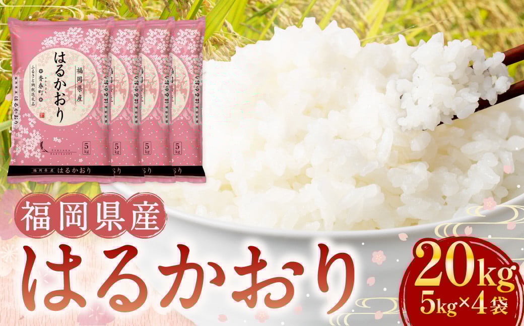 【令和6年産】福岡県産米 はるかおり 精米 20kg / ふるさと納税限定 ふるさと納税限定品 お米 米 白米 食品 ご飯 飯 九州 福岡県 香春町福岡県香春町40000米・パン白米