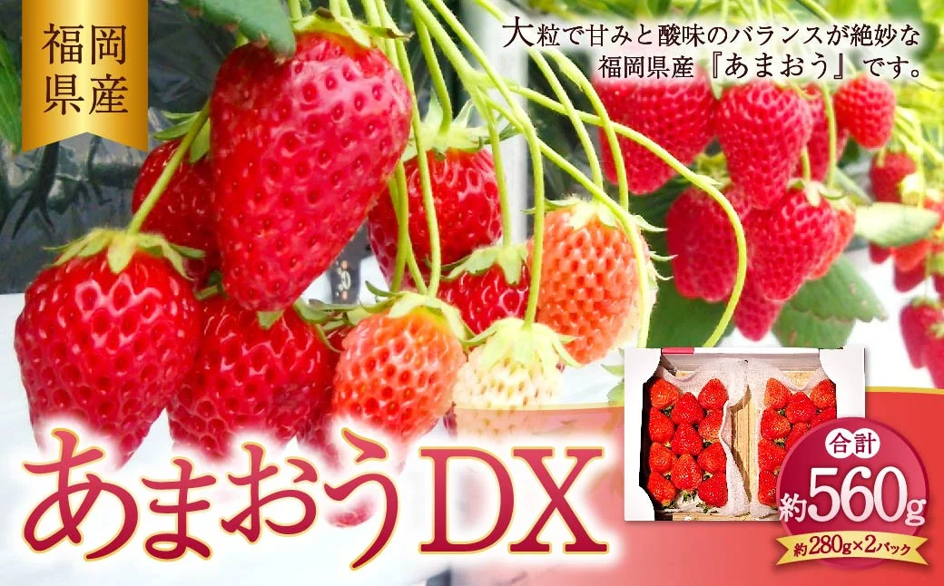 【2026年2月上旬〜4月上旬発送予定】 あまおうデラックス 約280g×2パック 計560g 苺 いちご フルーツ 国産 冷蔵福岡県香春町12000果物・フルーツいちご