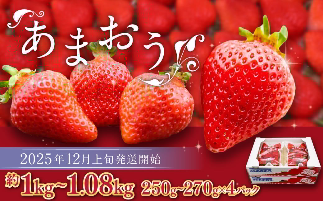 ܂i~j 250g`270g×4pbN v1kg`1.08kgy2025N12{-2026N1{\z   C`S ʕ t[ct17000ʕEt[c
