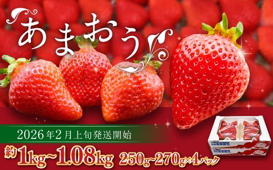 ܂itj 250g`270g×4pbN v1kg`1.08kgy2026N2{-4{\z  C`S ʕ t[ct13000ʕEt[c