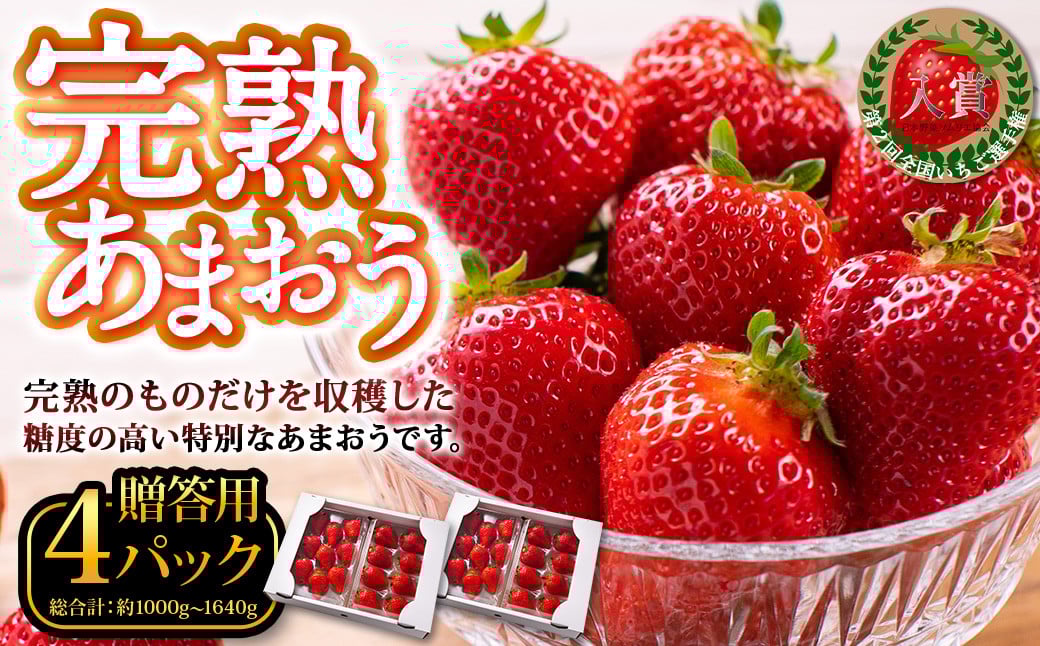完熟あまおう 贈答用 4パック 合計約1kg〜1.64kg 【2026年1月上旬〜3月上旬までに出荷予定】いちご 苺 イチゴ ベリー 果物 フルーツ お取り寄せ デザート おやつ福岡県香春町25000果物・フルーツ