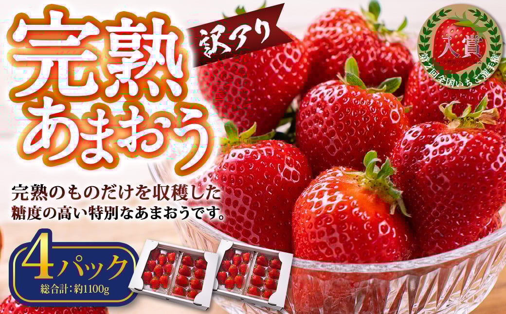 y󂠂zn܂ 4pbN 275g×4pbN v1.1kg y2026N2{`3{܂łɏoח\z  C`S x[ ʕ t[c  fU[g t14000