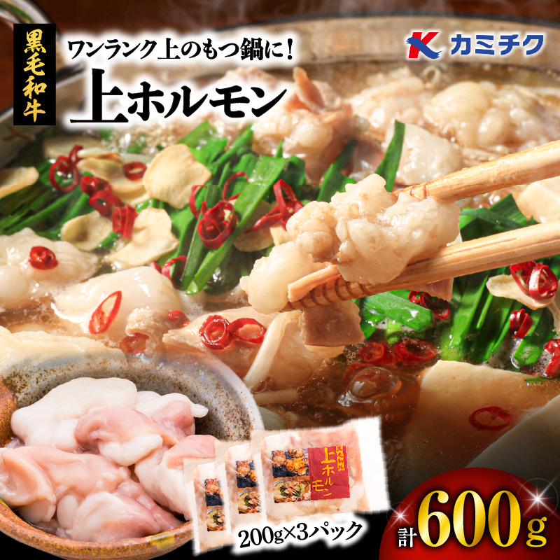 ワンランク上のもつ鍋に!上ホルモン600g(200g×3パック) K002-004_01鹿児島県鹿児島市6000肉牛肉