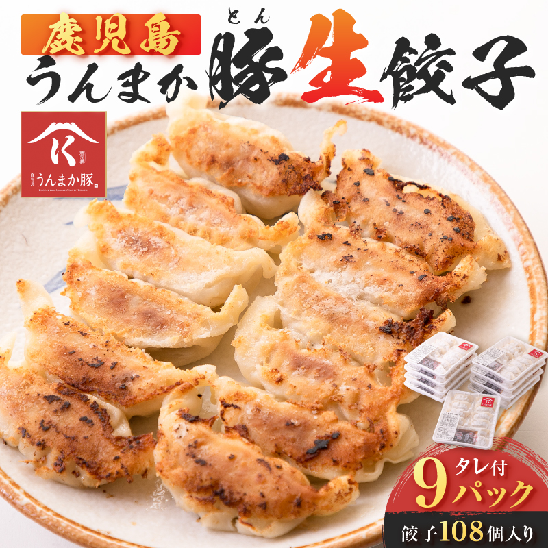鹿児島うんまか豚生餃子9パック(餃子108個入り・タレ付) K005-003_02鹿児島県鹿児島市12000鍋セット・総菜・加工食品総菜