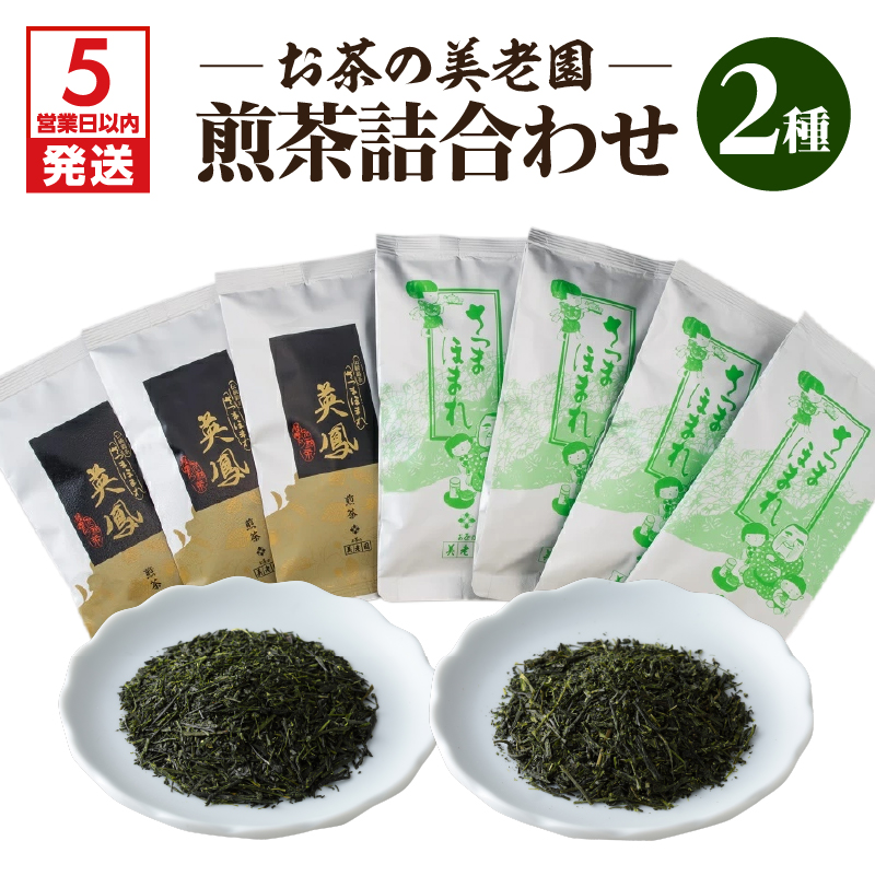 【5営業日以内に発送】お茶の美老園 煎茶詰合せ K021-004鹿児島県鹿児島市26000お茶・飲料その他 お茶・飲料