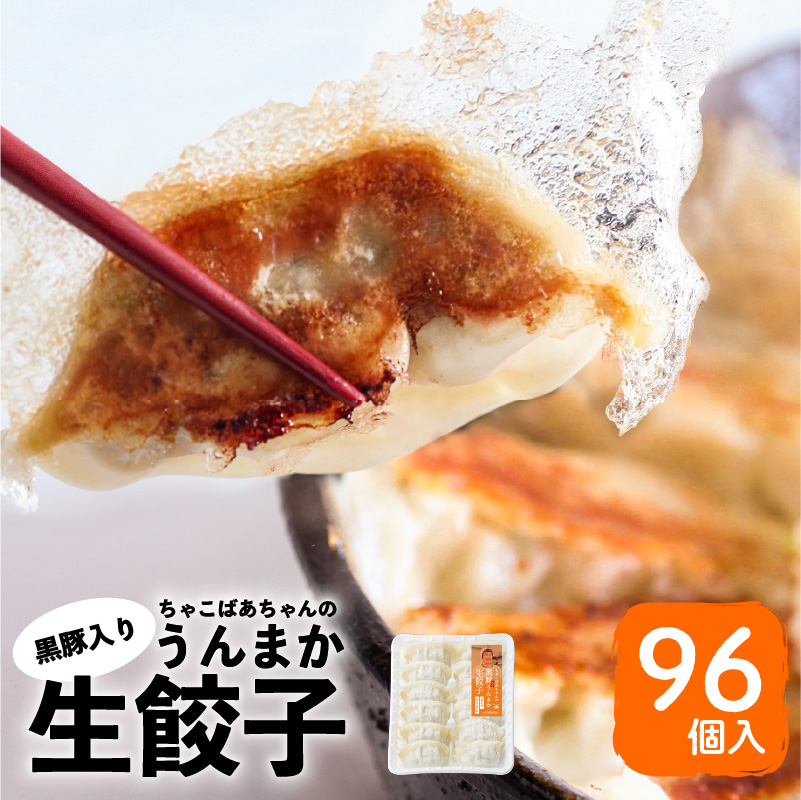 ちゃこばあちゃんの黒豚入りうんまか生餃子 120個入り K027-003鹿児島県鹿児島市13000肉加工肉(ハム・ソーセージ等)