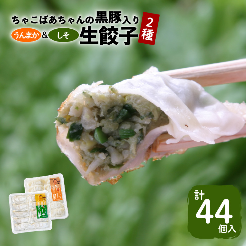 ちゃこばあちゃんの黒豚入りうんまか・しそ生餃子 計44個入り K027-004鹿児島県鹿児島市6000肉