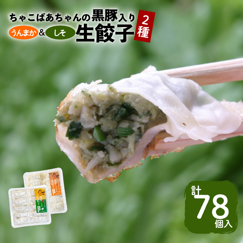 ちゃこばあちゃんの黒豚入りうんまか・しそ生餃子 計78個入り K027-005鹿児島県鹿児島市10000肉