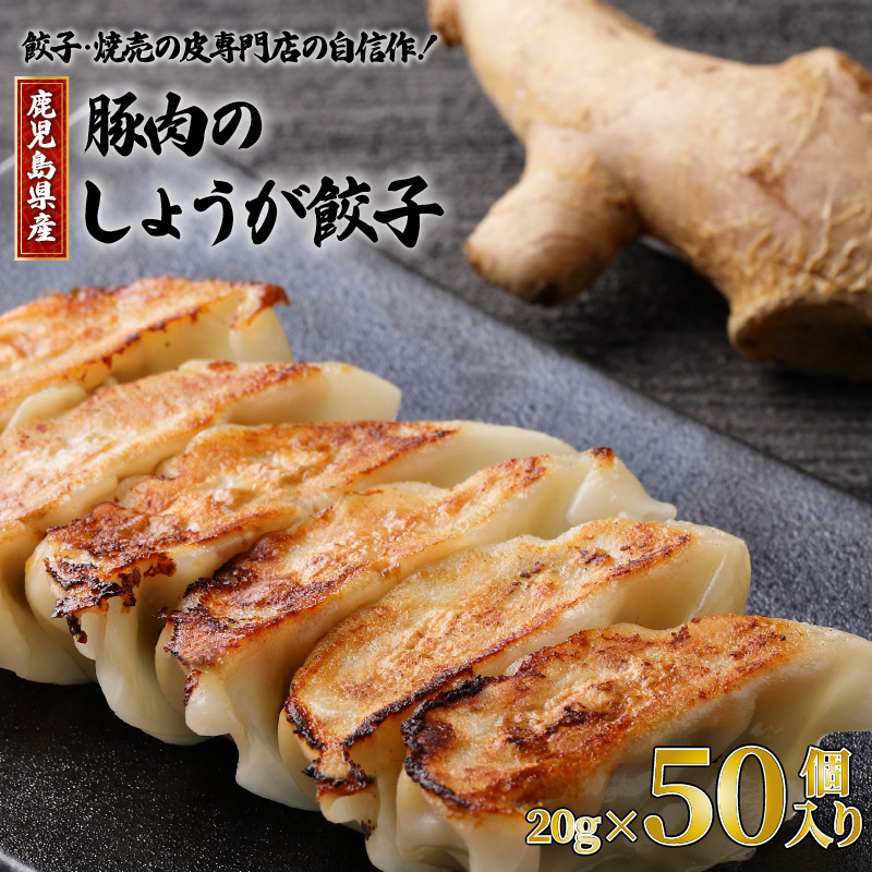 餃子・焼売の皮専門店の自信作!鹿児島県産豚肉のしょうが餃子 K033-004鹿児島県鹿児島市12000肉