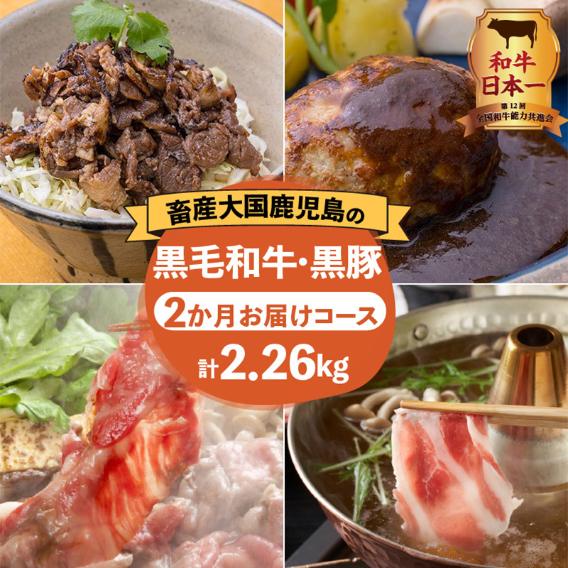 【岩元精肉店】鹿児島県産黒毛和牛・かごしま黒豚 お楽しみ2か月お届けコース K045-T02鹿児島県鹿児島市94000肉