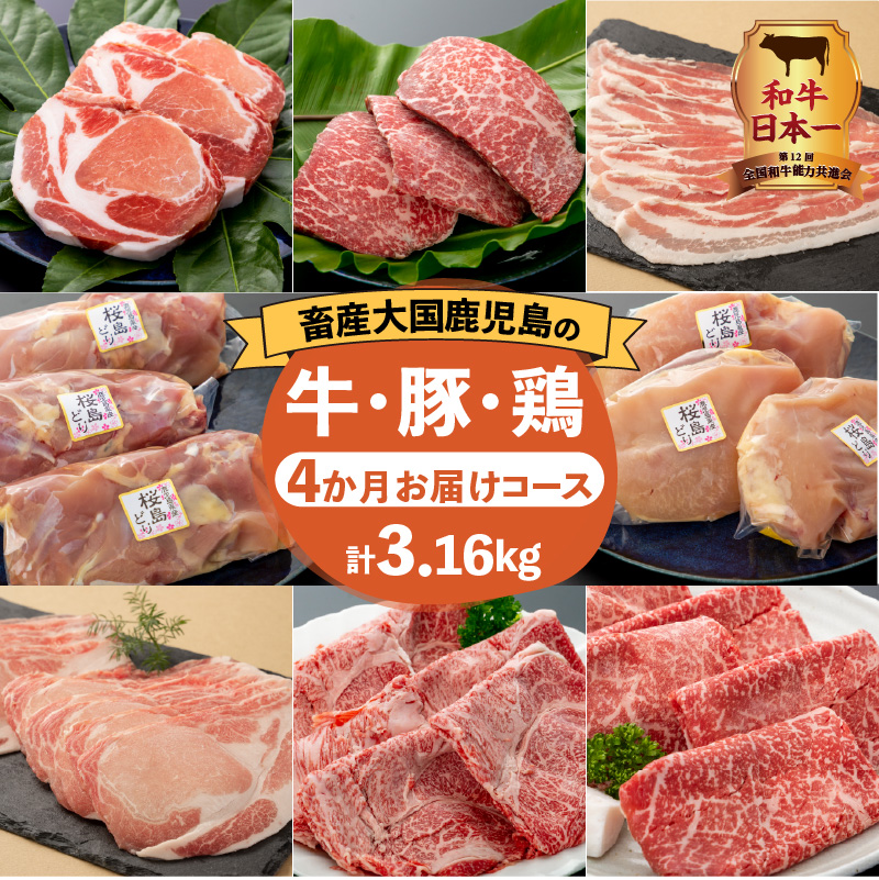 【岩元精肉店】鹿児島県産精肉 厳選4か月お届けコース K045-T04鹿児島県鹿児島市108000肉牛肉