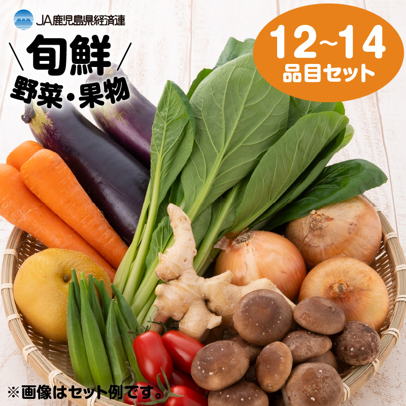【JA直売所セレクト】旬鮮野菜・果物セット(12〜14品目) K072-001鹿児島県鹿児島市12000野菜・きのこ