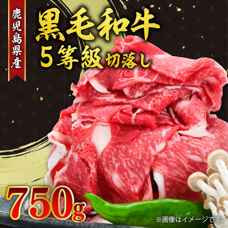 鹿児島県産黒毛和牛5等級切落し750g K086-032鹿児島県鹿児島市15000肉