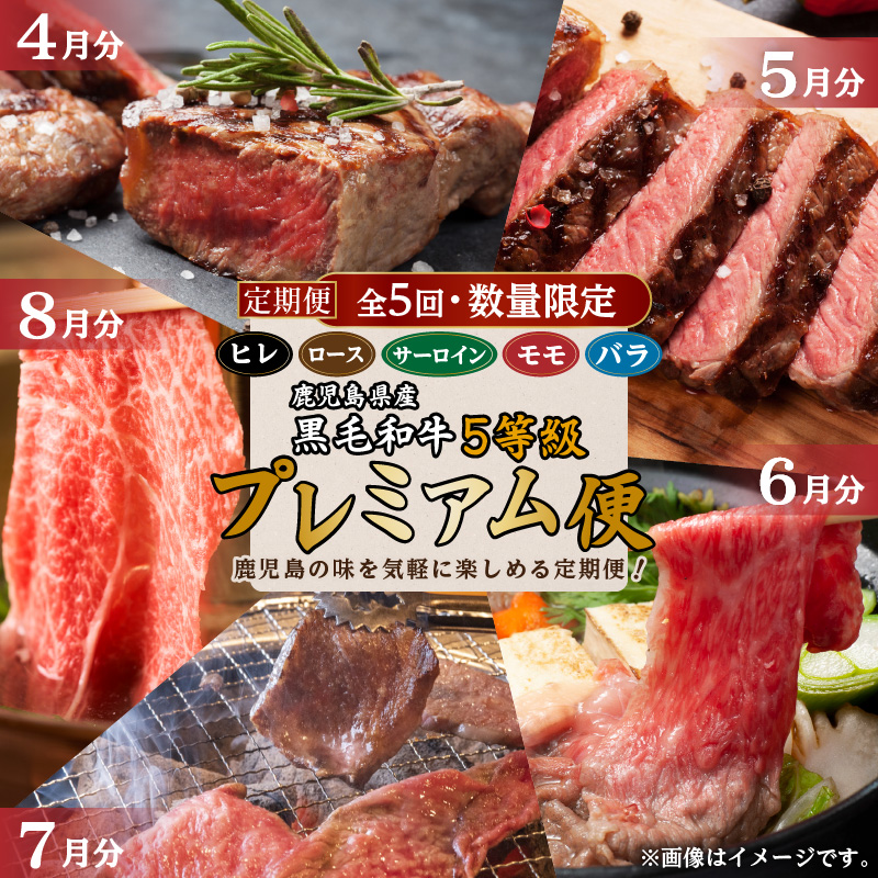 【全5回・数量限定】鹿児島県産黒毛和牛5等級「プレミアム便」 K086-T05鹿児島県鹿児島市120000肉牛肉