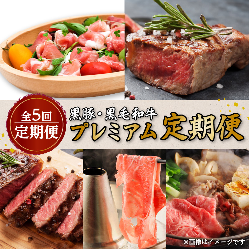 【全5回定期便】黒豚・黒毛和牛プレミアム定期便 K086-T13鹿児島県鹿児島市120000肉牛肉