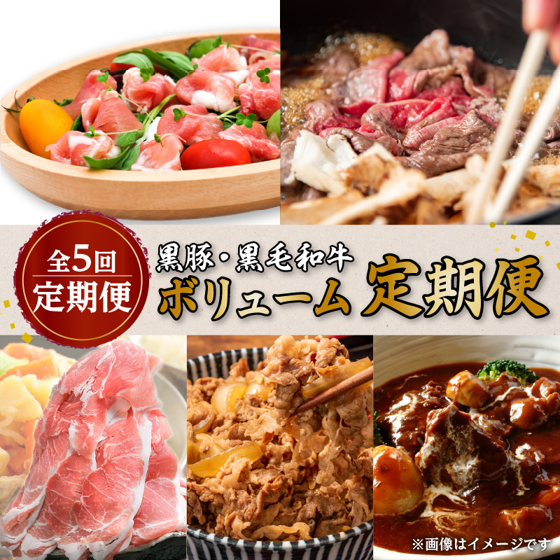 【全5回定期便】黒豚・黒毛和牛ボリューム定期便(1〜5月便) K086-T24鹿児島県鹿児島市60000肉