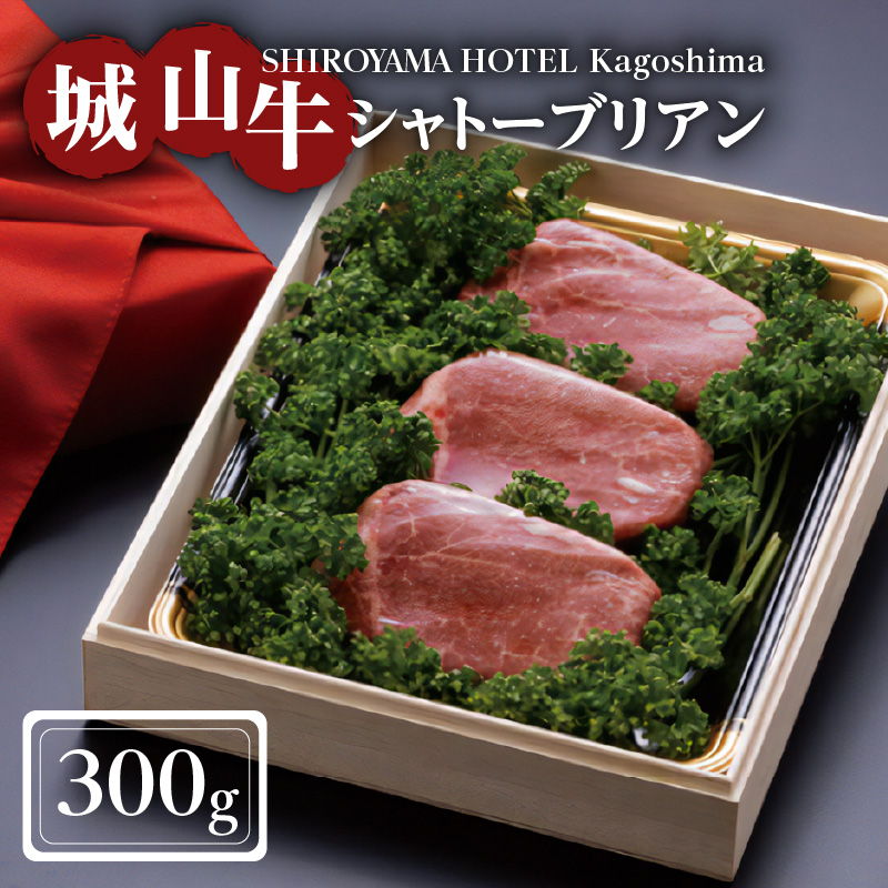 SHIROYAMA HOTEL kagoshima yʌzRVg[uA300g@K096-005s76000