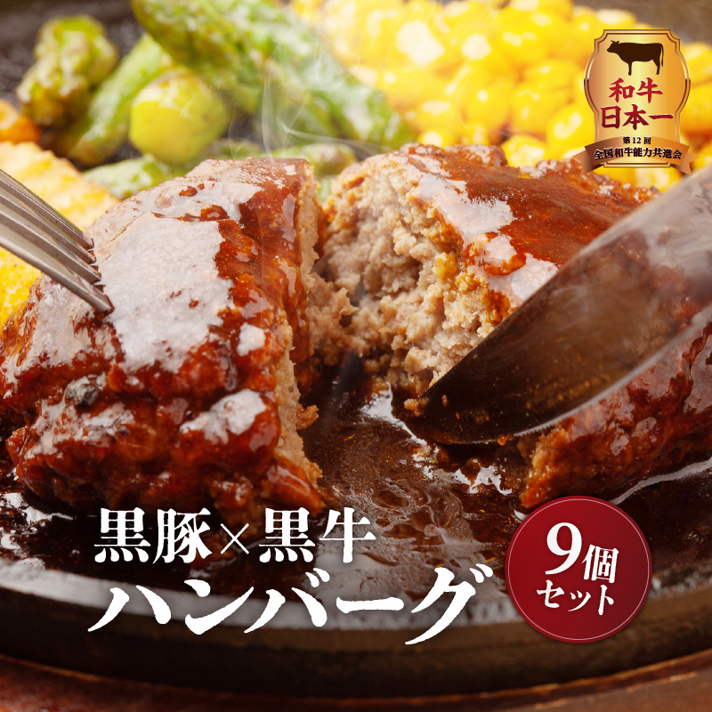 黒豚×黒牛ハンバーグ9個セット K098-005鹿児島県鹿児島市18000肉