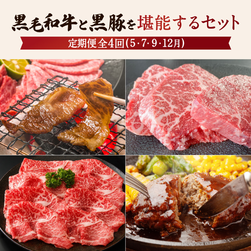 【全4回】黒毛和牛と黒豚を堪能するセット K098-T05鹿児島県鹿児島市120000肉