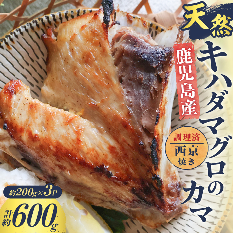 鹿児島産 天然 キハダマグロのカマ約200g×3P 調理済 (西京焼き) K100-012_02鹿児島県鹿児島市12000魚介・海産物鮮魚
