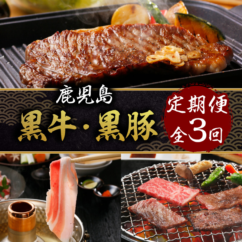 鹿児島黒牛・黒豚定期便(全3回) K127-T02鹿児島県鹿児島市63000肉