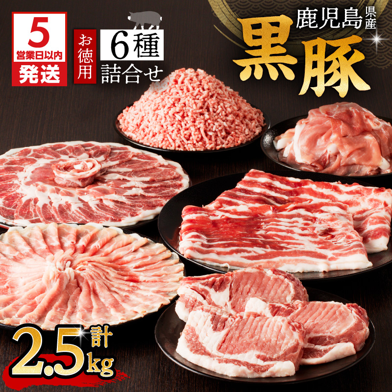 y5cƓȓɔzY؂p 6l(2.5kg)@K134-011s27000ؓ