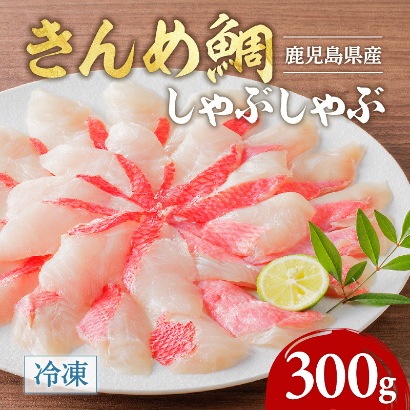 鹿児島県産 きんめ鯛しゃぶしゃぶ K177-001鹿児島県鹿児島市16000魚介・海産物鮮魚