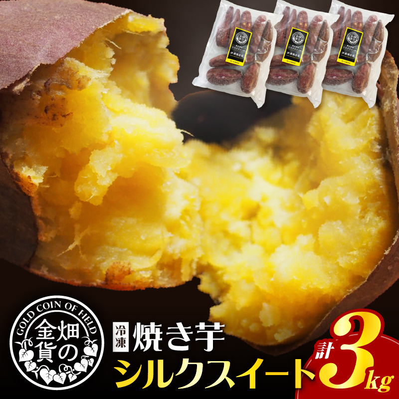 畑の金貨 焼き芋シルクスイート 3kg K181-001_03鹿児島県鹿児島市12000野菜・きのこじゃがいも・イモ類