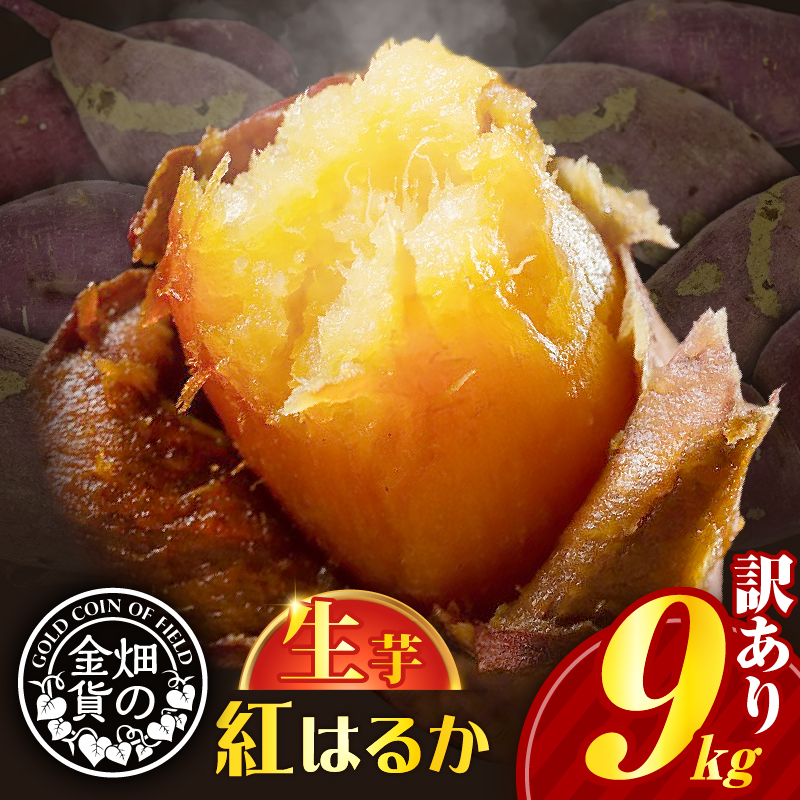 畑の金貨 生芋 訳あり紅はるか9kg K181-007鹿児島県鹿児島市15000野菜・きのこじゃがいも・イモ類
