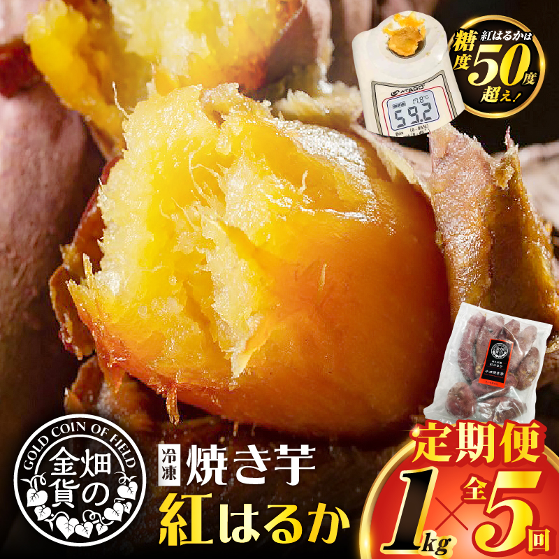 【全5回】【畑の金貨】焼き芋紅はるか1kg 定期便 K181-T01鹿児島県鹿児島市25000野菜・きのこじゃがいも・イモ類