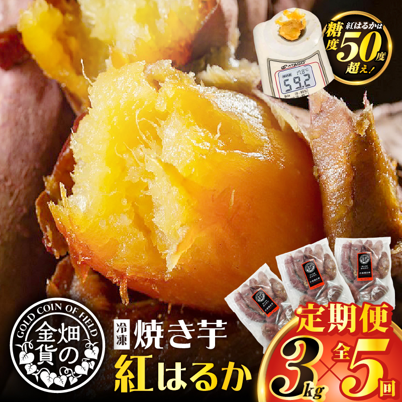 【全5回】【畑の金貨】焼き芋紅はるか3kg 定期便 K181-T02鹿児島県鹿児島市65000野菜・きのこじゃがいも・イモ類