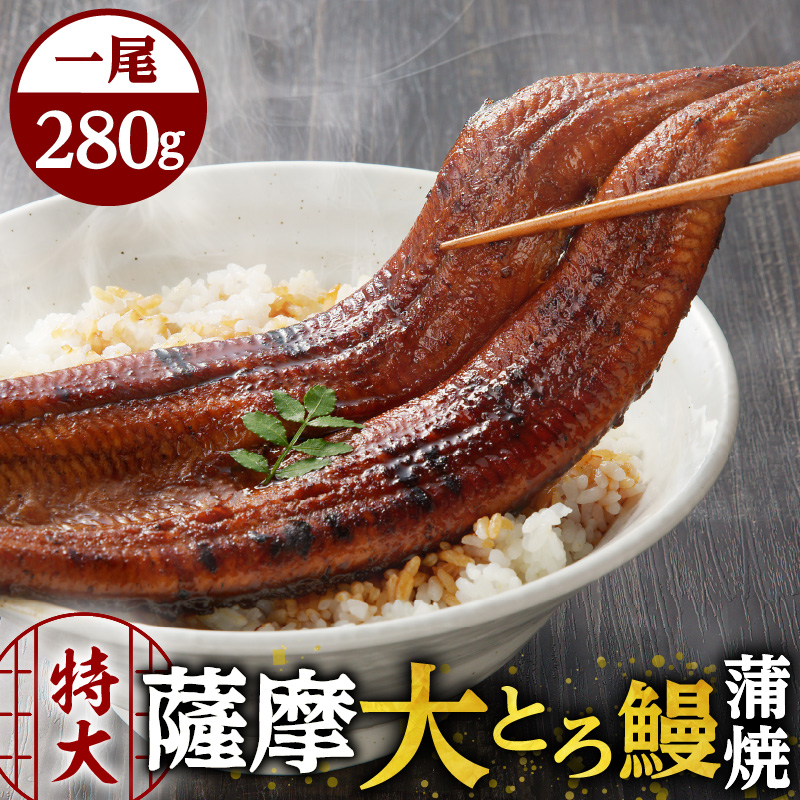 薩摩大とろ鰻蒲焼特大サイズ一尾 K190-002鹿児島県鹿児島市18000魚介・海産物うなぎ