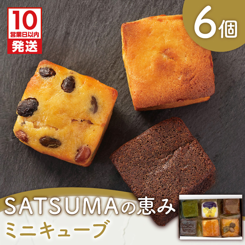 【10営業日以内に発送】SATSUMAの恵み(ミニキューブ) 6個入り K325-001鹿児島県鹿児島市5000菓子・スイーツケーキ・カステラ