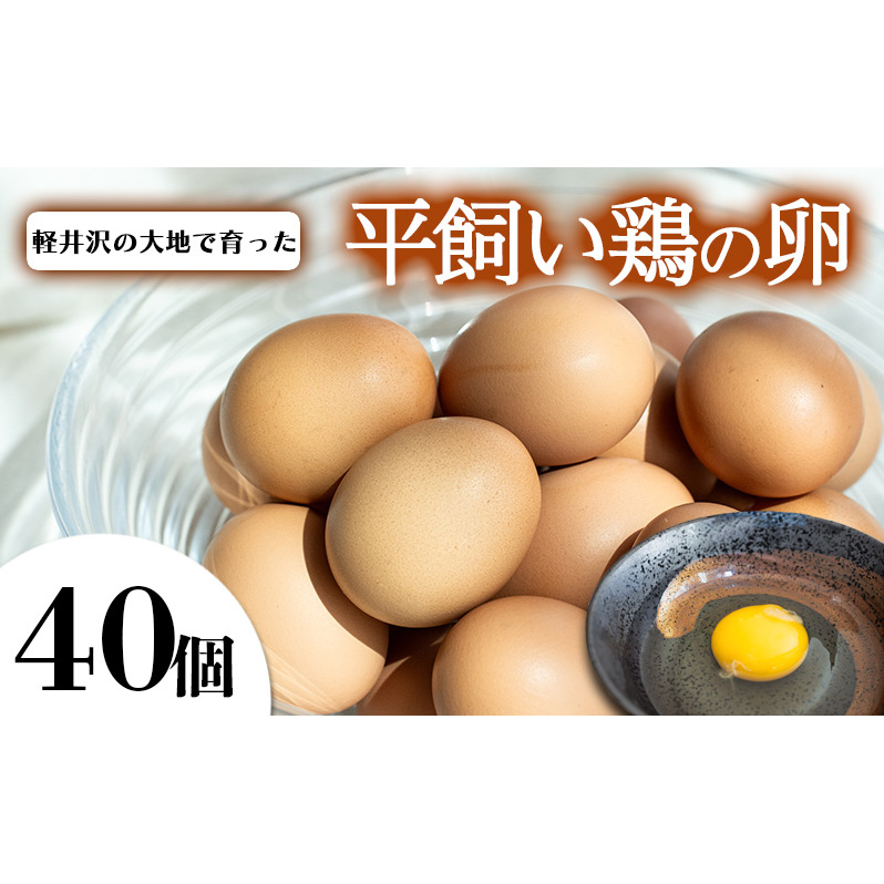 @40 쌧y20000Eii{AG{j