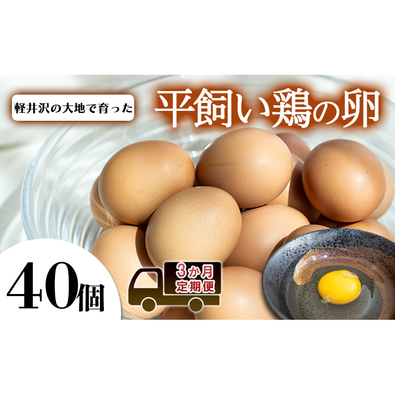 卵40個 3か月定期便 長野県軽井沢町50000卵・乳製品卵(鶏、烏骨鶏等)