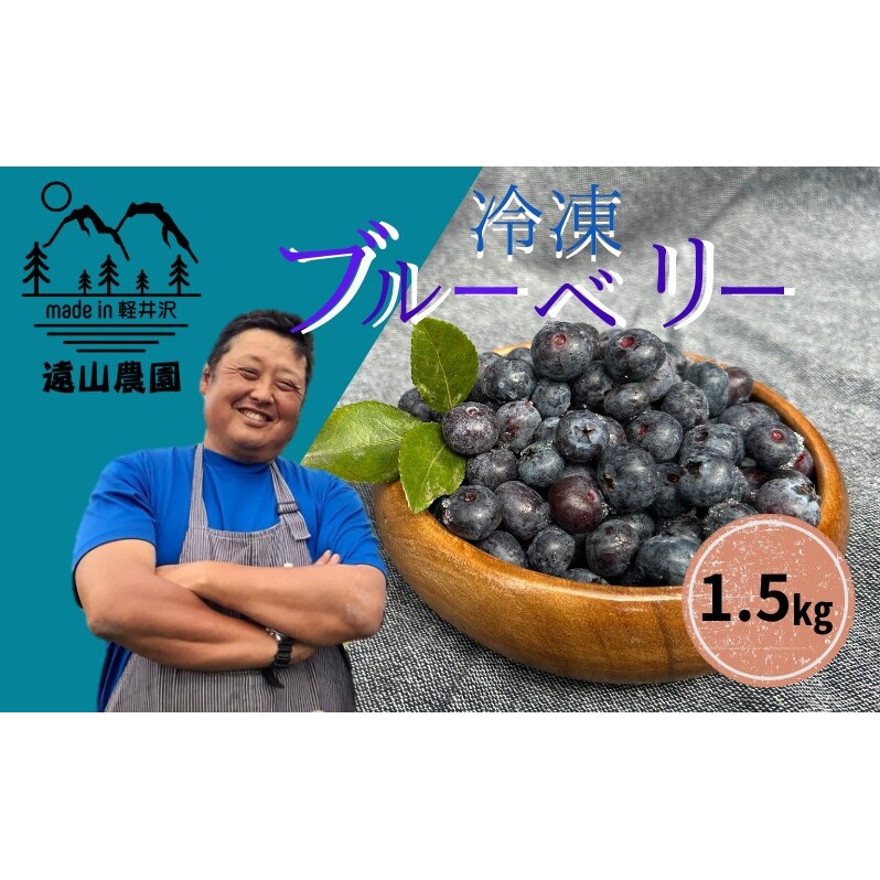 【軽井沢の農家】 遠山農園より直送! 冷凍ブルーベリー 1.5kg (750g×2パック) 農家直送 軽井沢産 冷凍 ブルーベリー 遠山農園 軽井沢農家 国産 長野県軽井沢町15000果物・フルーツその他