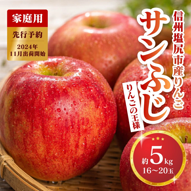 2024年発送 先行予約 【家庭用】信州のりんご サンふじ【約5kg】長野県塩尻市12000果物・フルーツりんご・梨