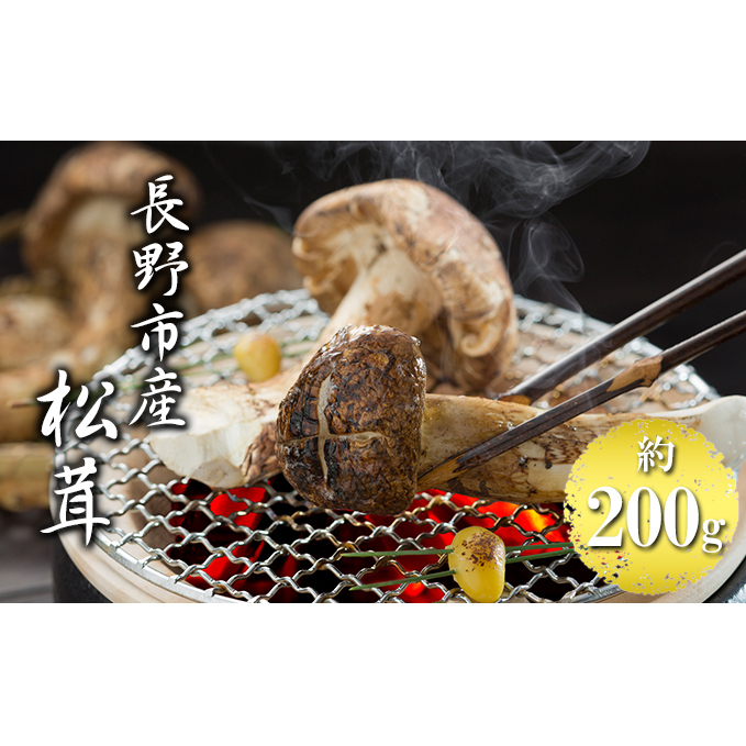 長野市収穫 松茸 約200g(2〜3本) 野菜 きのこ まつたけ 長野県長野市164000野菜・きのこきのこ