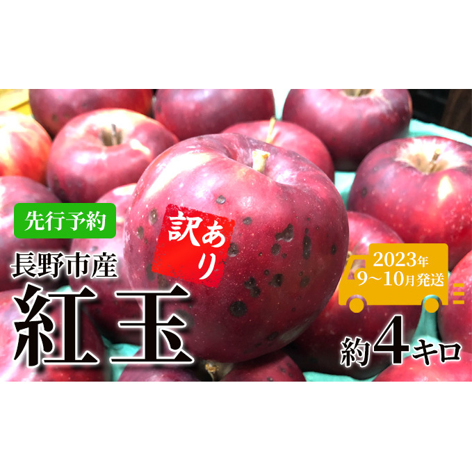 y2023N9`10 s\zsY@󂠂gʁ@4L ʕ ь  S t[c 4kg 쌧s11000ʕEt[c񂲁E