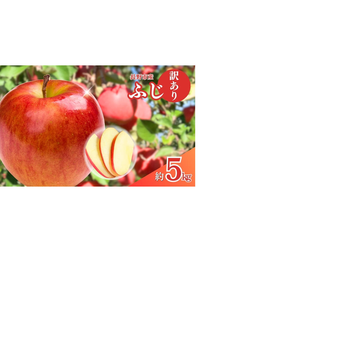 信州産 ふじ 5kg りんご 訳あり 【 果物 フルーツ フジ リンゴ 林檎 傷 不揃い 規格外 産地直送 旬 冬 家庭用 信州 長野 はねだし 】 食後 おやつ 味 変わらない お得 国産 長野県産 長野県長野