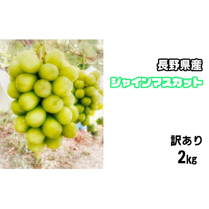 【2025年発送分】長野県産 シャインマスカット 2kg 訳あり 長野県長野市22000果物・フルーツマスカット・ぶどう