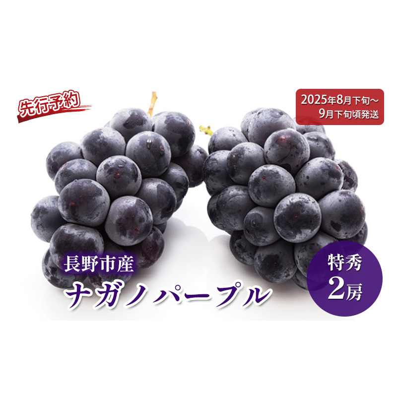ぶどう 先行予約 長野市産 ナガノパープル 特秀 2房 果物 ブドウ 葡萄 フルーツ デザート おやつ 種なし 大粒 信州 2025年秋発送 長野県長野市23000果物・フルーツマスカット・ぶどう