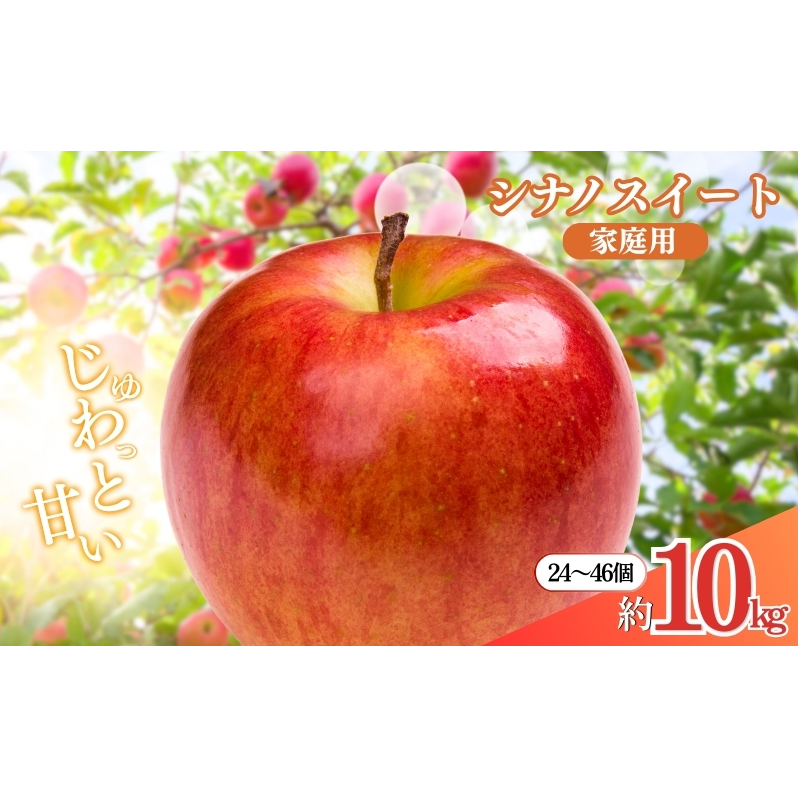 先行予約 長野市産シナノスイート家庭用 約10kg 2025年10月下旬より順次発送 ※オンライン決済限定 果物 フルーツ デザート 食後 おやつ 長野県産 信州 甘い 交配品種 酸味が少ない りんご 長