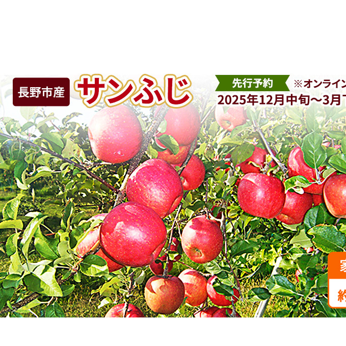 s\ sYTӂƒp 5kg 2025N12`2026N3 ICό ʕ t[c fU[g H  쌧Y MB  \i Z 쌧s15000ʕEt