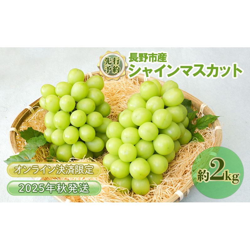 Ԃǂ s\ sY VC}XJbg 2kg 2025N9{菇  uhE t[c ʕ VC }XJbg fU[g  MB ICό蒷쌧s24000
