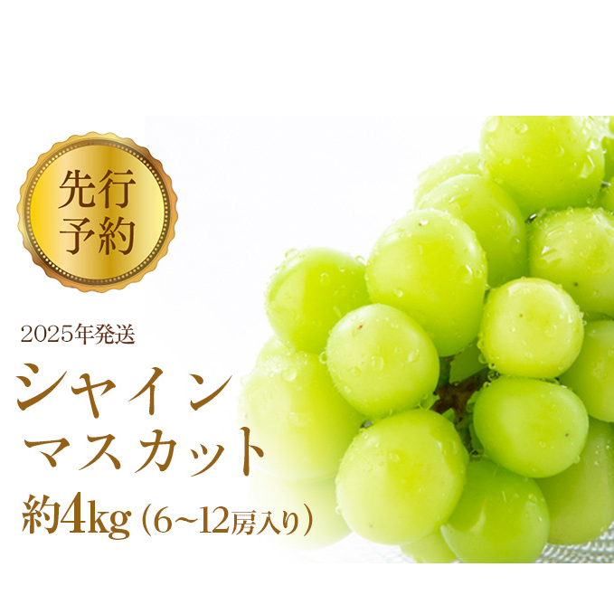 ぶどう 先行予約 シャインマスカット 約4kg 6〜12房入り 葡萄 ブドウ シャイン マスカット 果物 フルーツ デザート おやつ 種なし 信州 2025年秋発送 長野県長野市36000果物・フルーツマスカッ