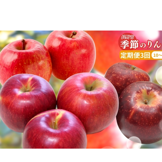  s\  3  G߂̂ 5kg ΂ VimXC[g Tӂ t[c ʕ { 쌧 s 2025N 1012\  y 3 쌧s 쌧