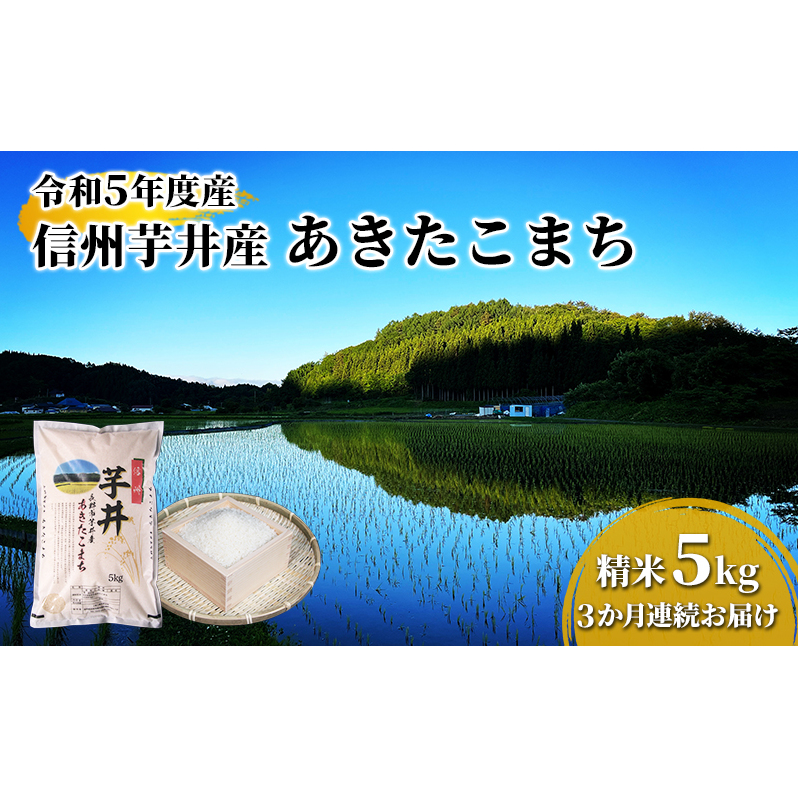 【3ヶ月連続お届け】信州芋井産あきたこまち精米5kg お米 白米 ブランド米 銘柄米 ご飯 おにぎり お弁当 和食 主食 国産 炭水化物 産地直送 長野県長野市34000米・パン白米